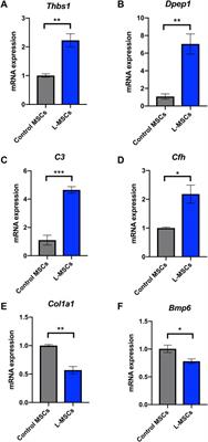 Characterization of mesenchymal stem cells in pre-B acute lymphoblastic leukemia